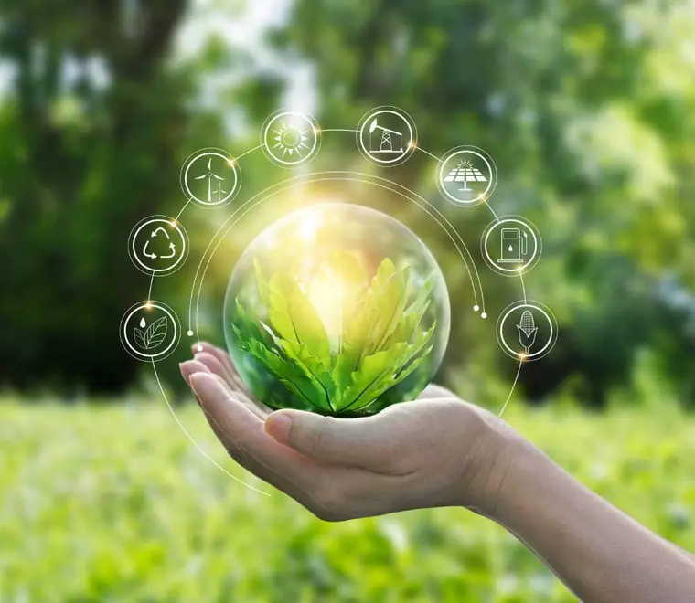 Sustainable Practices